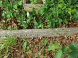 image of grave number 951102